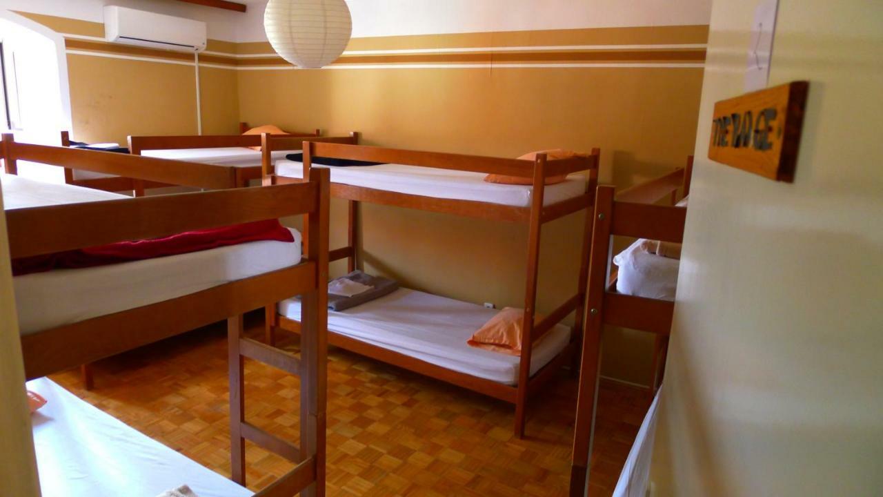 زادار The Mellow Monkey Hostel المظهر الخارجي الصورة