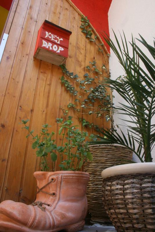 زادار The Mellow Monkey Hostel المظهر الخارجي الصورة